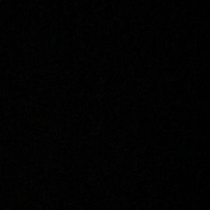 Meet your Posher, Rosa